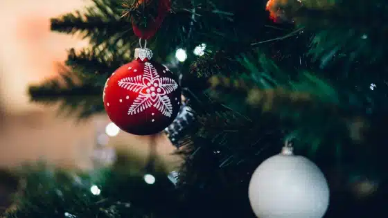 Christmas in the Smoky Mountains