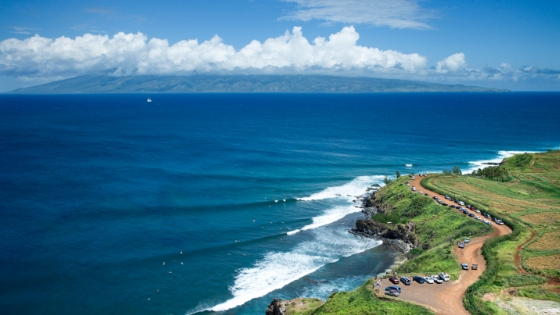 14 Reasons Why You will Love The Road To Hana