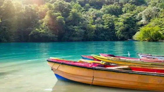 Caribbean reopen