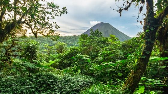 Costa Rica vs Mexico: Which is the Safer Vacation Destination?