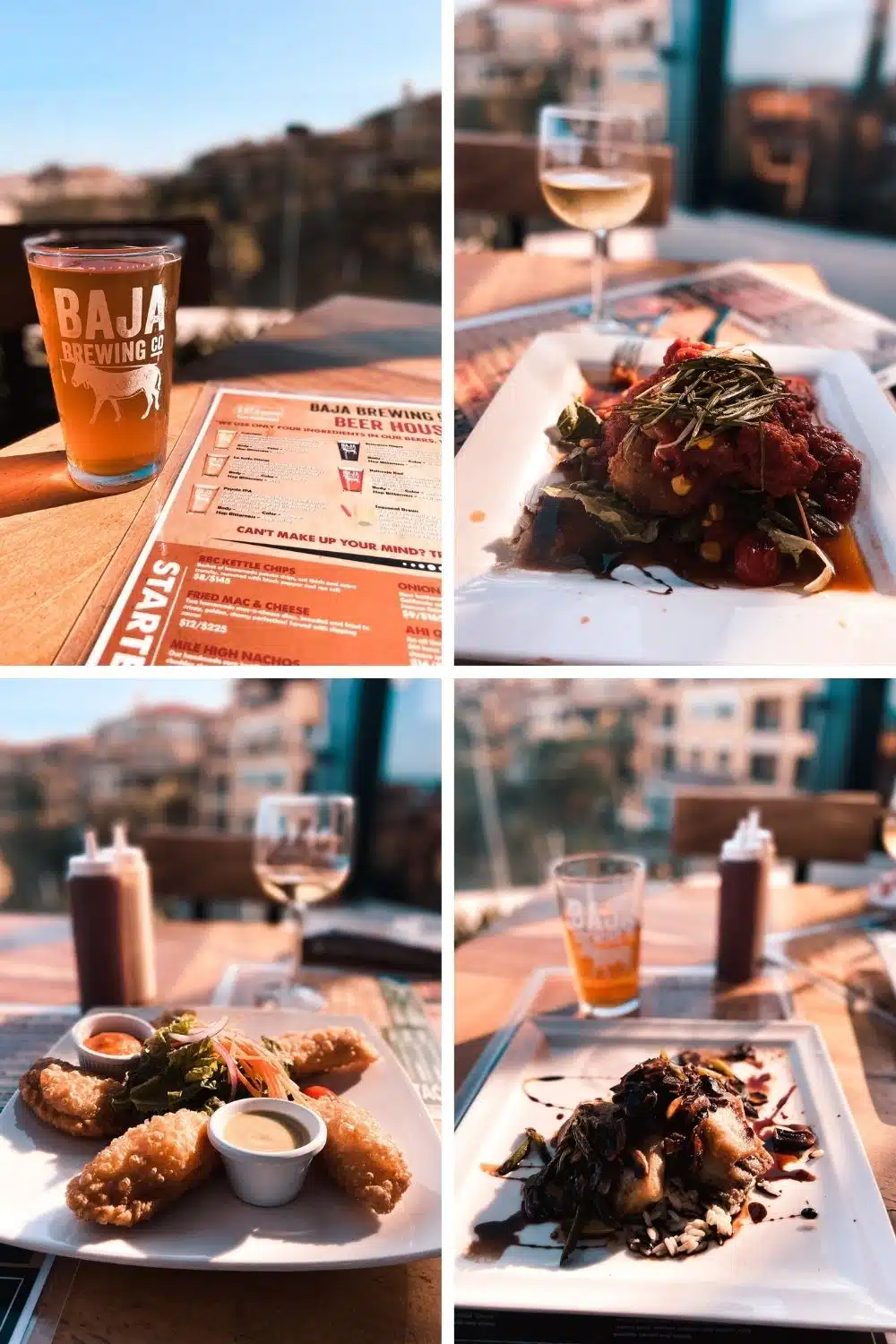 Baja Brewing Company