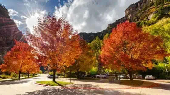 colorado fall colors