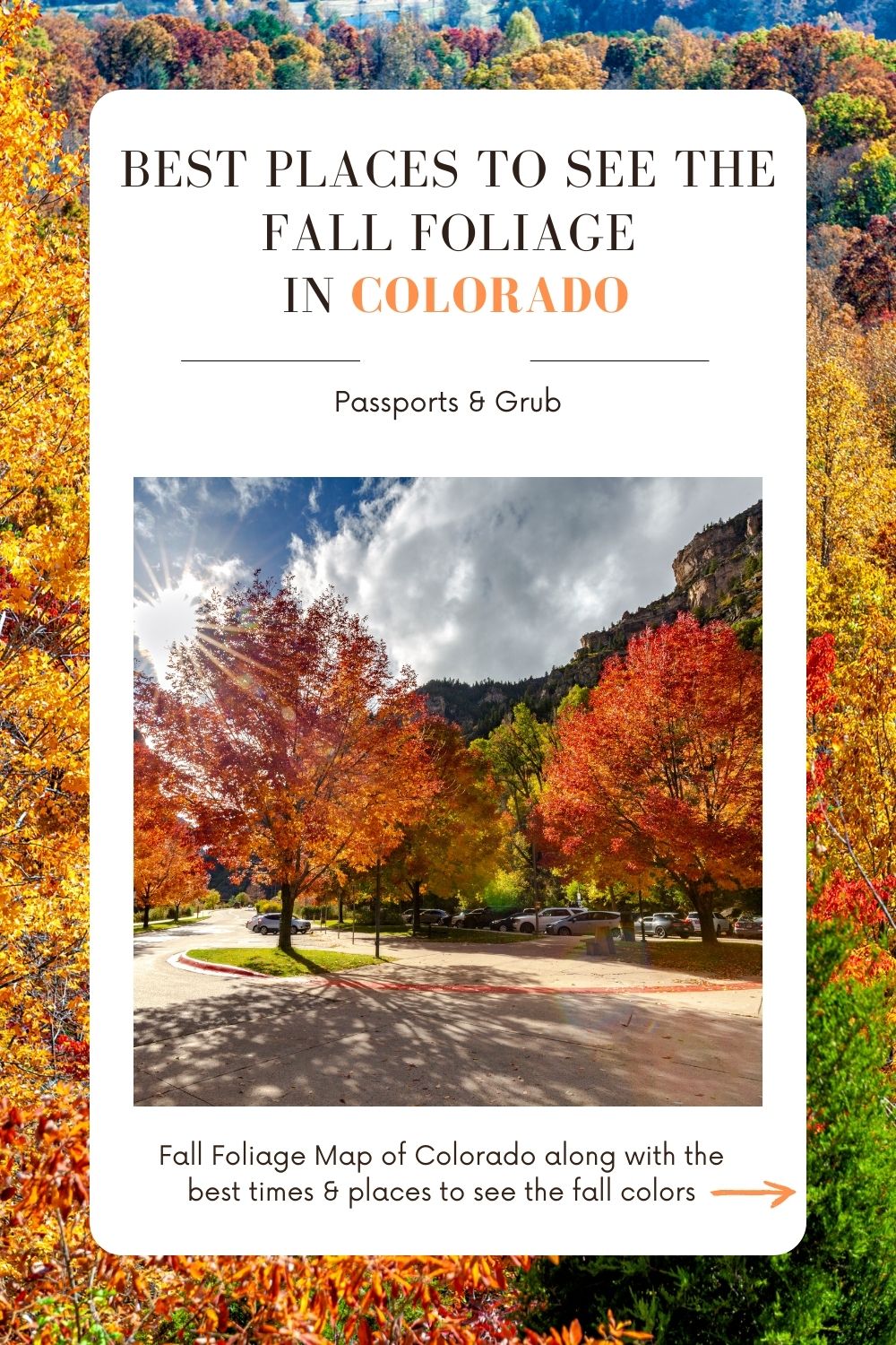 colorado fall foliage