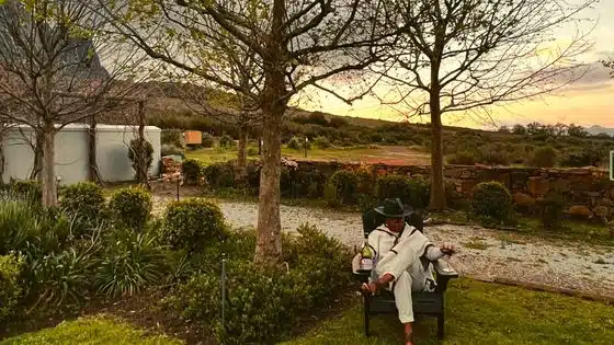 Wineries in South Africa
