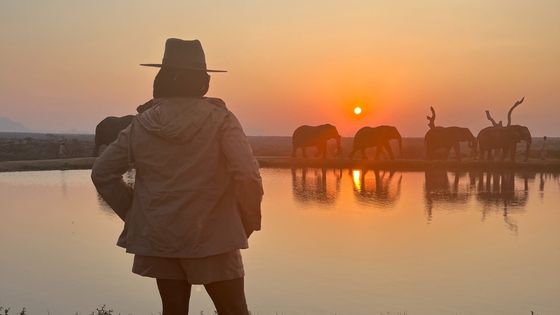 What To Wear On a Luxury Safari to Kruger National Park