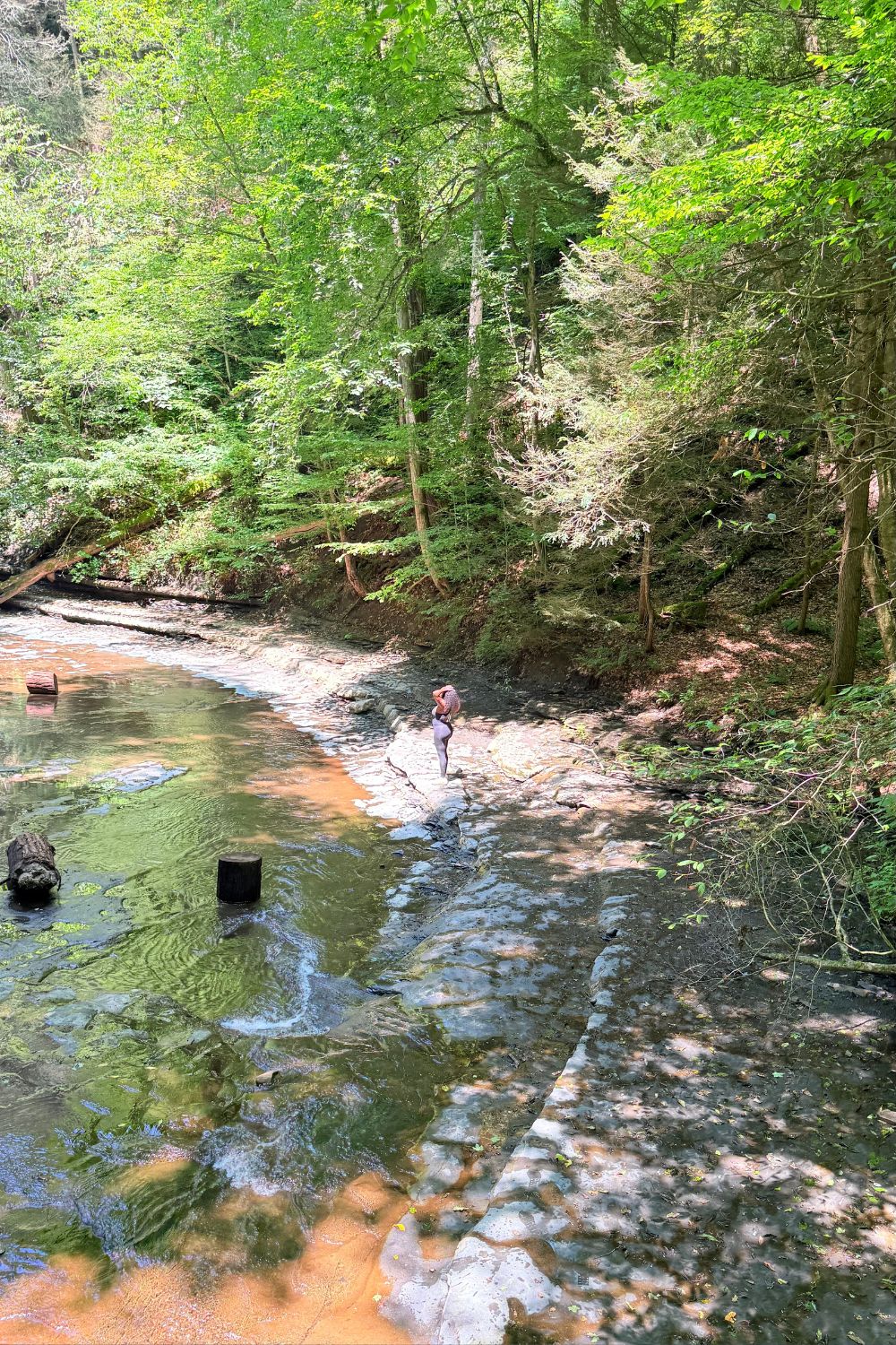 hiking in finger lakes