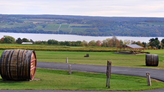 finger lakes, NY wine regions