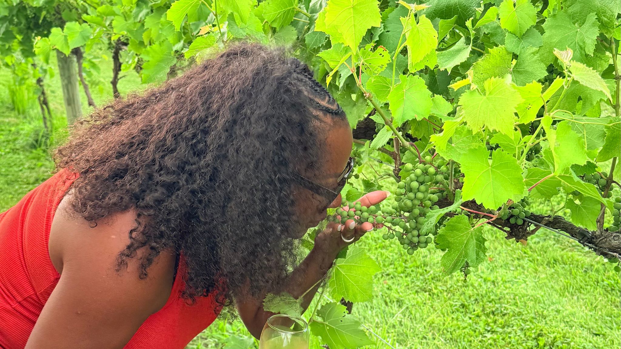 Black woman smelling grapes at vineyard in finger lakes, NY