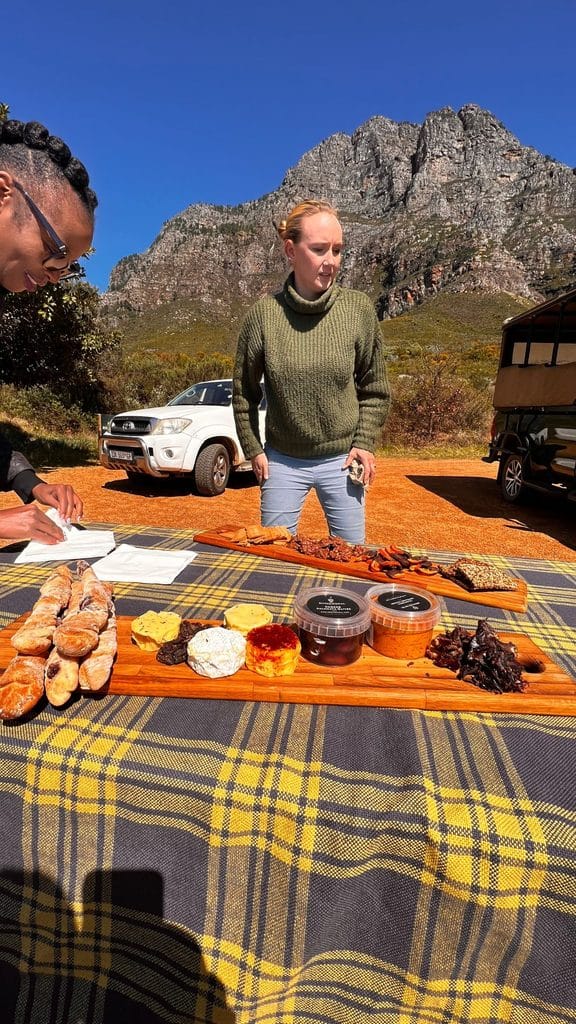 Wine and cheese tasting with mountain views in the Cape Winelands near Cape Town