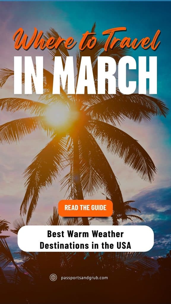 Where to travel in March: best warm weather destinations in the USA, with palm trees silhouetted against a sunset sky