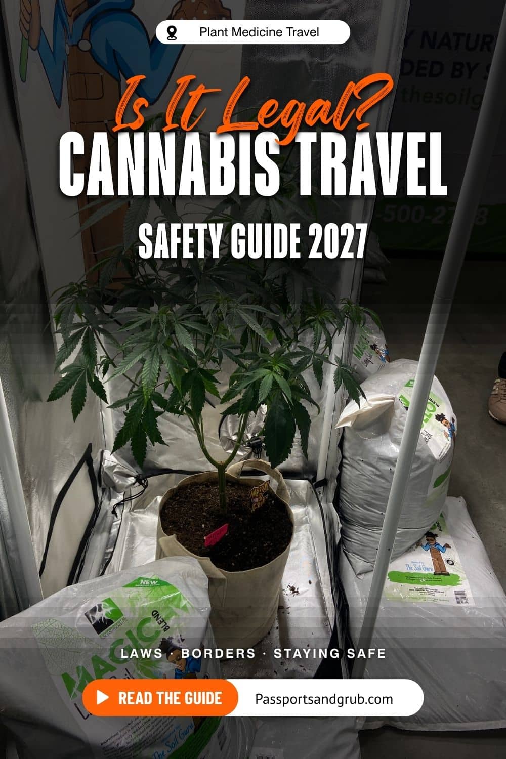 Pinterest graphic reading Is It Legal? Cannabis Travel Safety Guide 2027, Plant Medicine Travel, over a cannabis shop